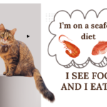 i'm on a seafood diet - i see food and i eat it - Dunkeyking.com - jokes comedy memes online-